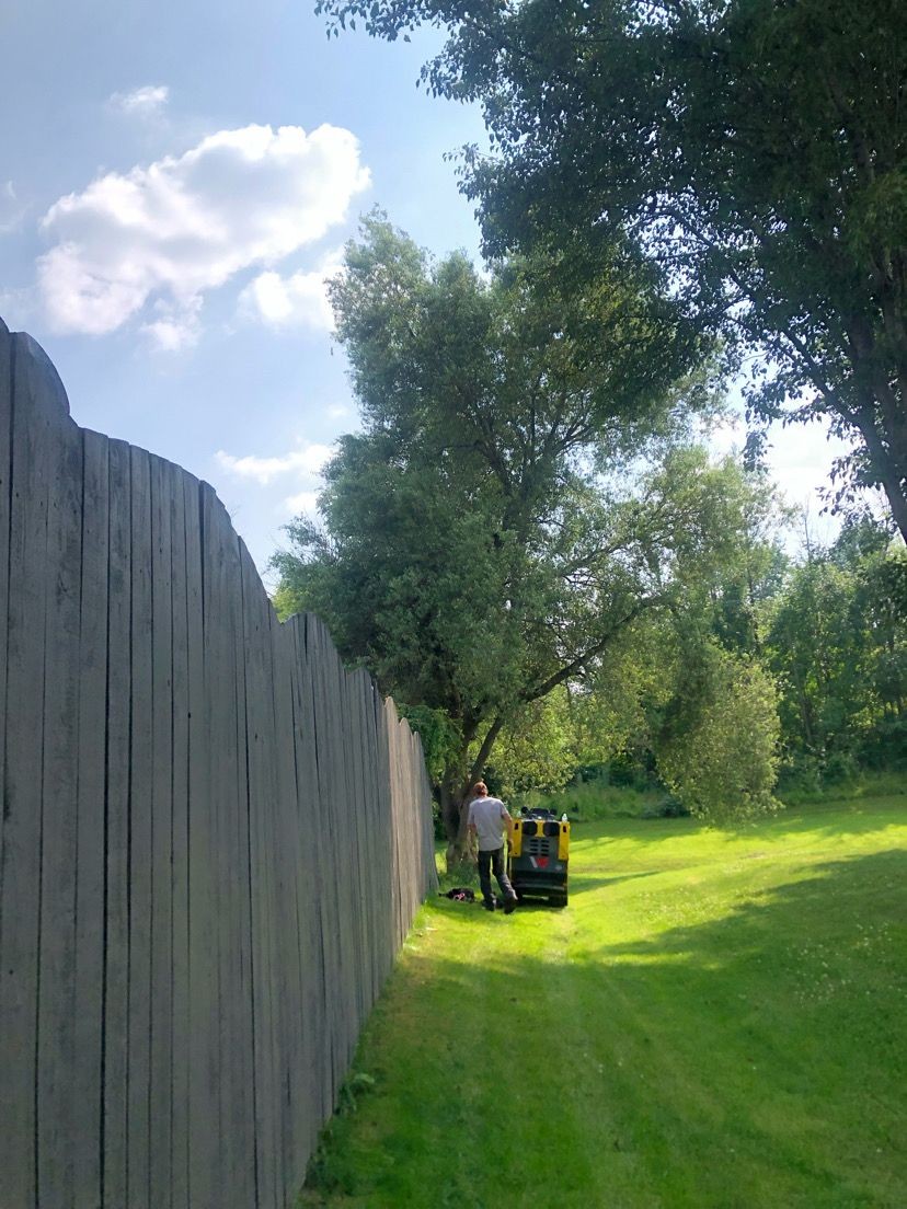 Lawn Care and Maintenance